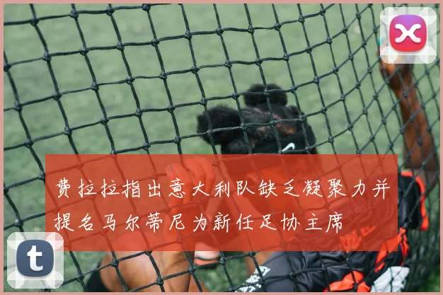 费拉拉指出意大利队缺乏凝聚力并提名马尔蒂尼为新任足协主席