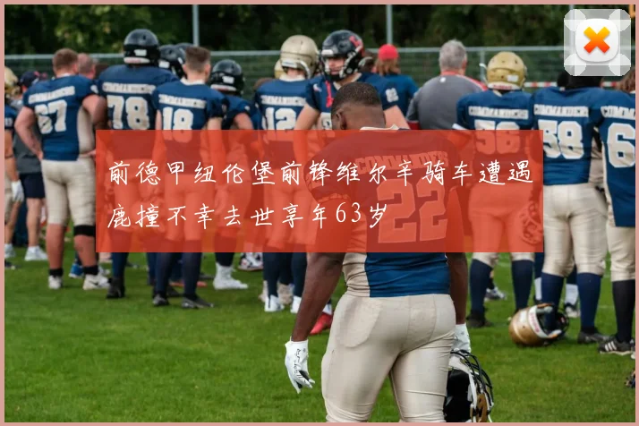 前德甲纽伦堡前锋维尔辛骑车遭遇鹿撞不幸去世享年63岁